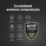 left perspective view